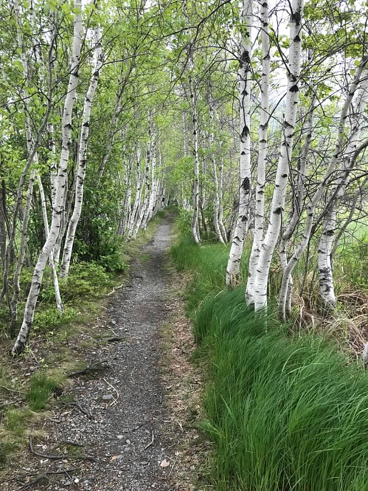 Renewal: Beginning Again&nbsp;Gently