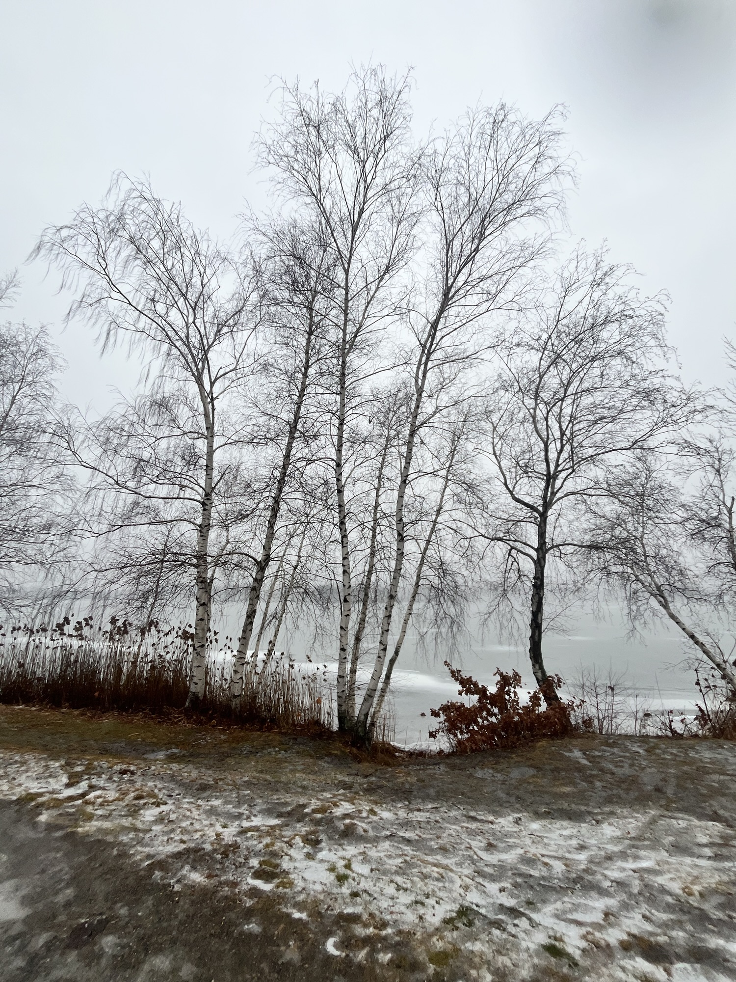 Slow Miles: Learning to Take Big Goals One Step at a Time – The ...