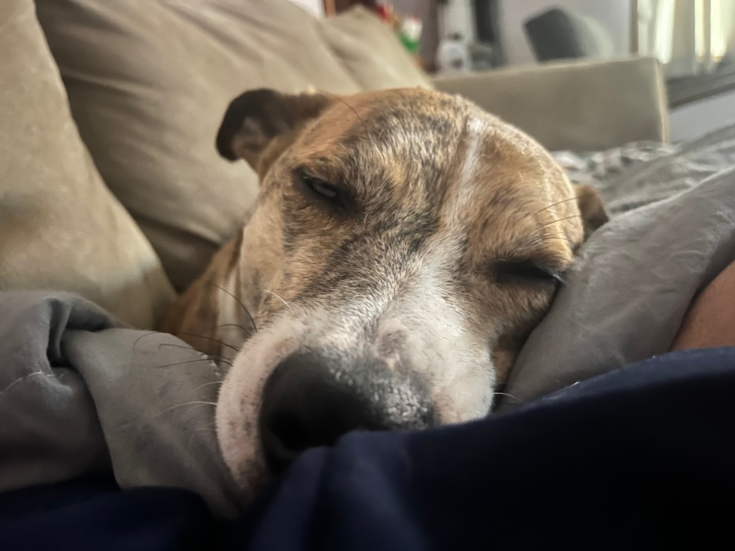 Slow Miles: Learning to Take Big Goals One Step at a Time – The ...